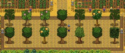 can i move fruit trees stardew|stardew valley fruit tree growth.